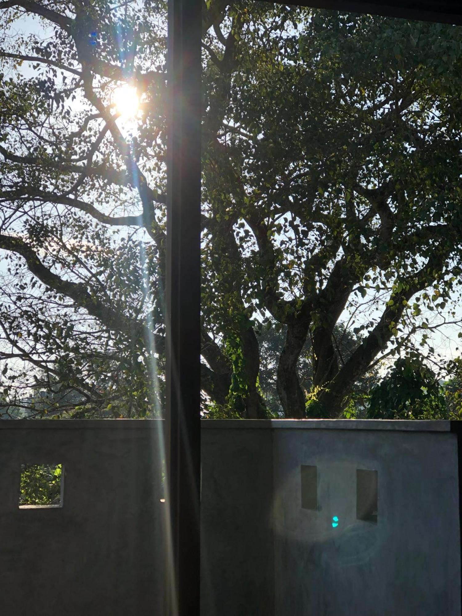 Senarathna Guest House Weligama Exterior photo